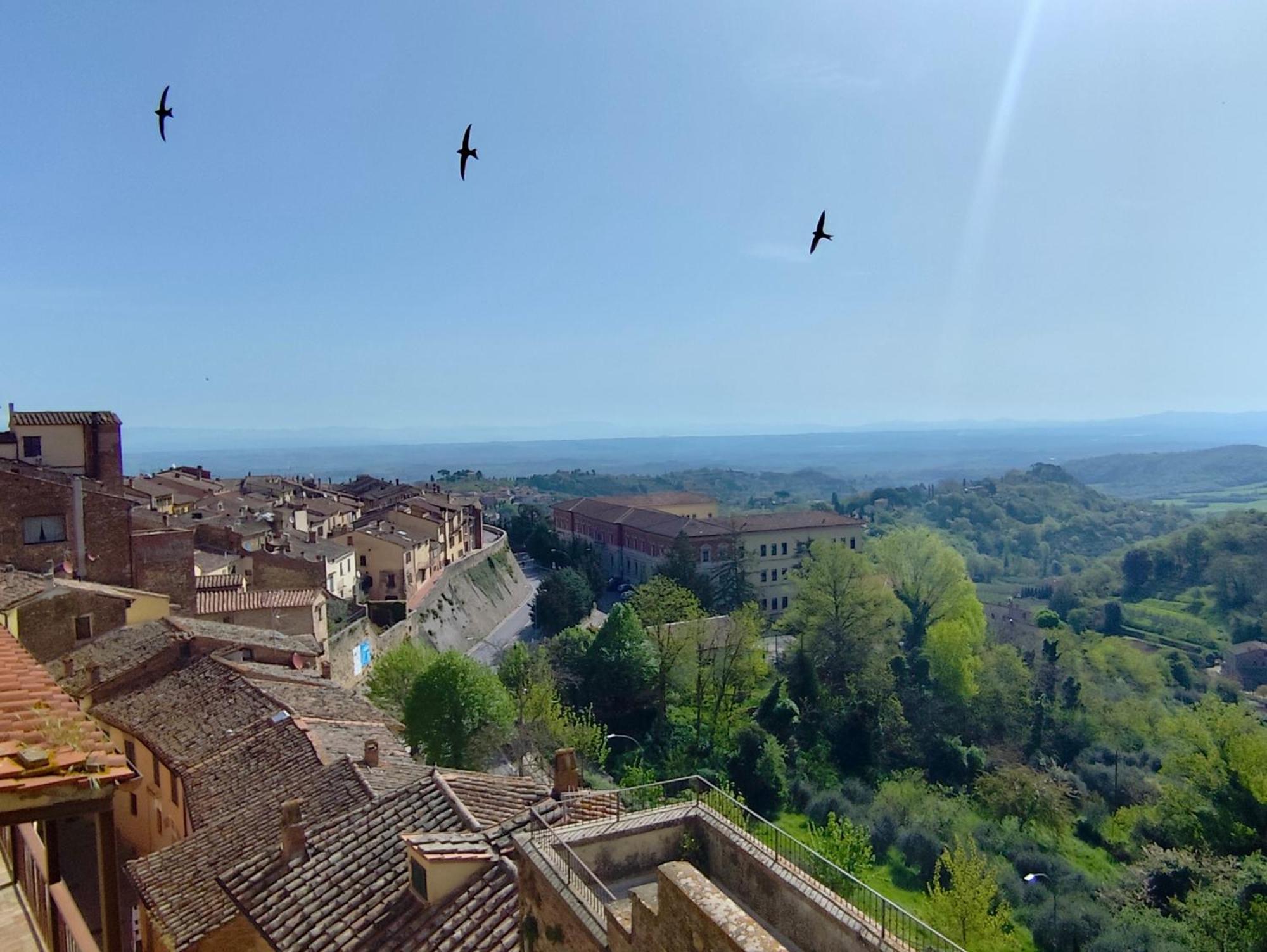 迪摩拉戴尔埃尔贝公寓 Montepulciano Stazione 外观 照片